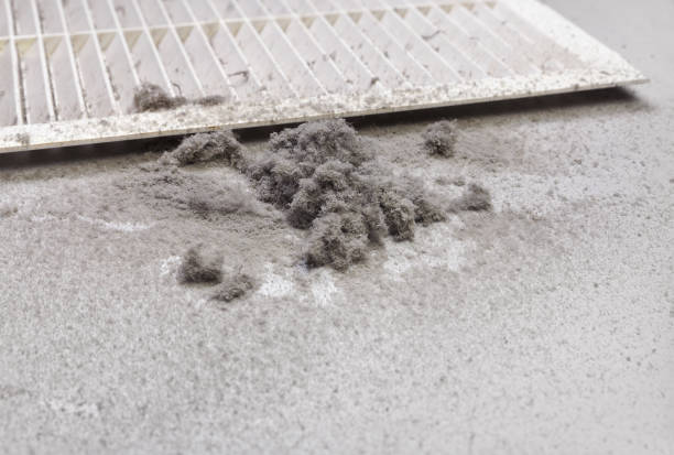 Best Affordable HVAC Duct Cleaning  in Peculiar, MO