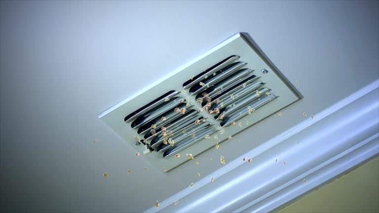 Best Residential Air Duct Cleaning  in Peculiar, MO