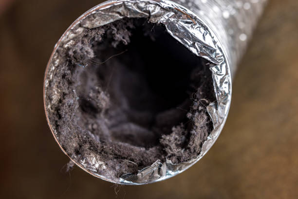 HVAC System Cleaning in Peculiar, MO